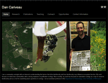 Tablet Screenshot of dancariveau.com